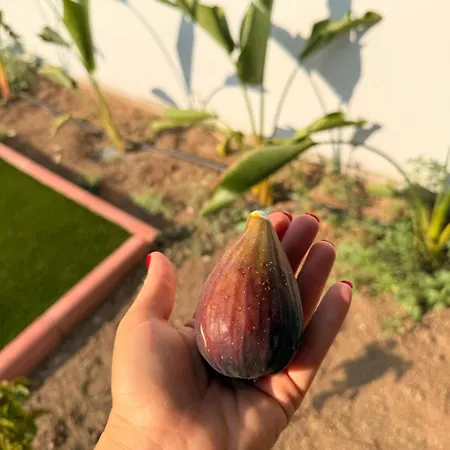 House Kiti, Seaside Kiti